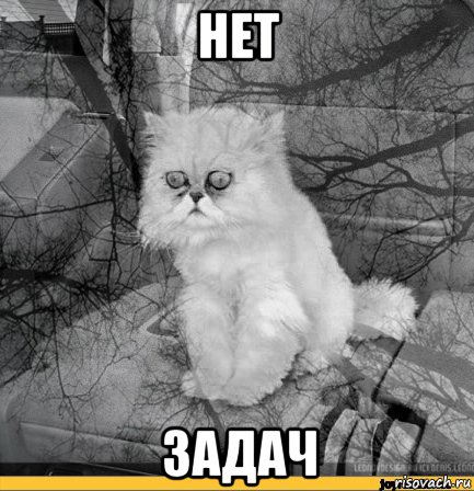 нет задач