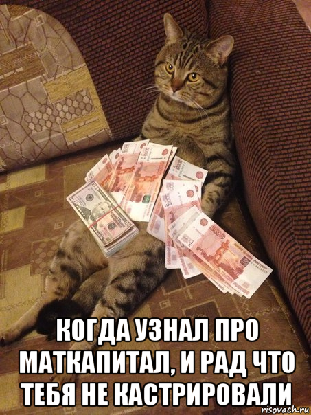 когда узнал про маткапитал, и рад что тебя не кастрировали