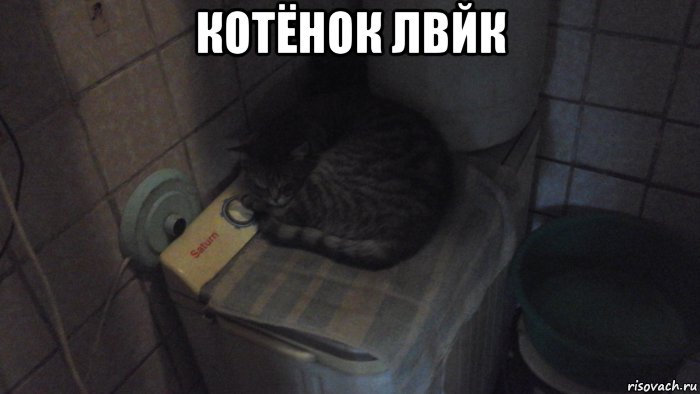 котёнок лвйк , Мем Котенок лайк