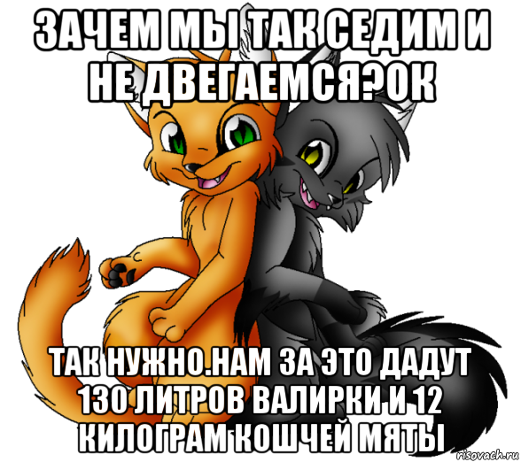 зачем мы так седим и не двегаемся?ок так нужно.нам за это дадут 130 литров валирки и 12 килограм кошчей мяты, Мем Коты воители