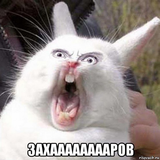  захааааааааров