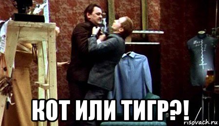  кот или тигр?!, Мем Кт