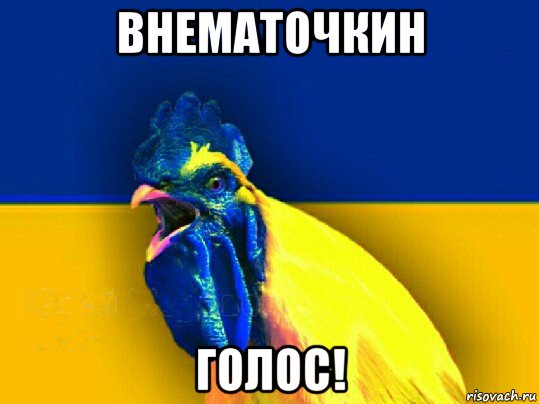 внематочкин голос!, Мем Кукраина