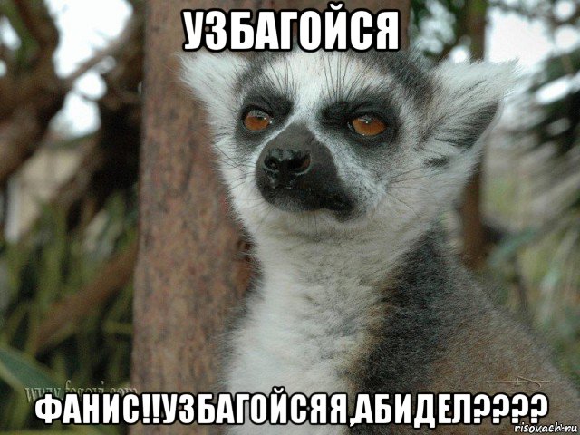 узбагойся фанис!!узбагойсяя,абидел????