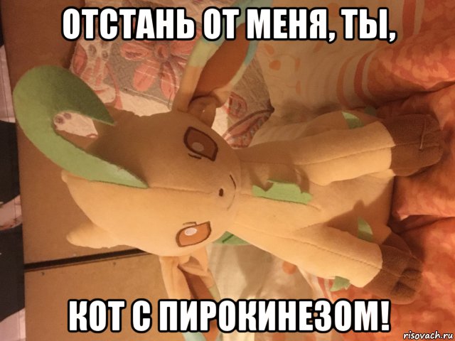 отстань от меня, ты, кот с пирокинезом!, Мем Лифеон