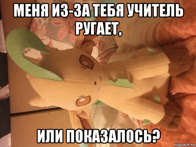 меня из-за тебя учитель ругает, или показалось?, Мем Лифеон
