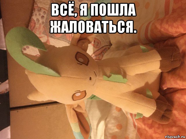 всё, я пошла жаловаться. , Мем Лифеон
