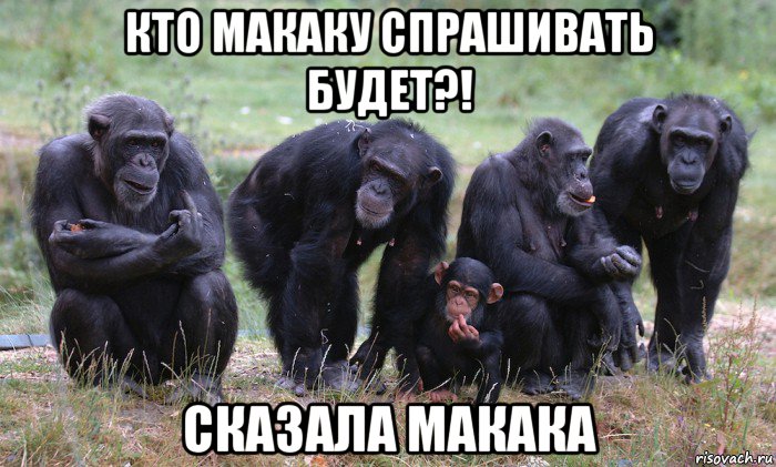 кто макаку спрашивать будет?! сказала макака, Мем Макака фак
