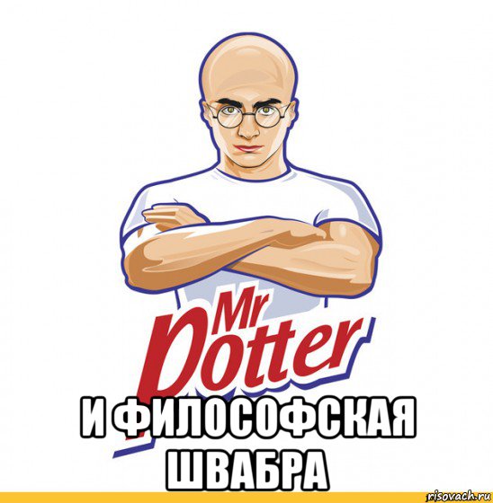  и философская швабра, Мем Мистер Поттер