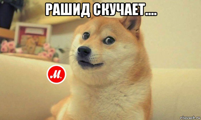 рашид скучает.... 