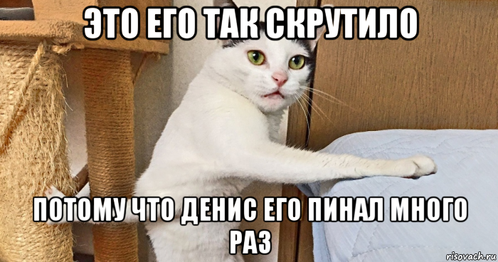 это его так скрутило потому что денис его пинал много раз, Мем Неад кот