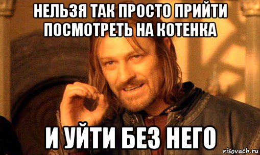 нельзя так просто прийти посмотреть на котенка и уйти без него, Мем Нельзя просто так взять и (Боромир мем)