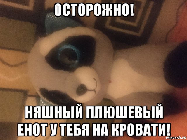 осторожно! няшный плюшевый енот у тебя на кровати!, Мем Няшный енот