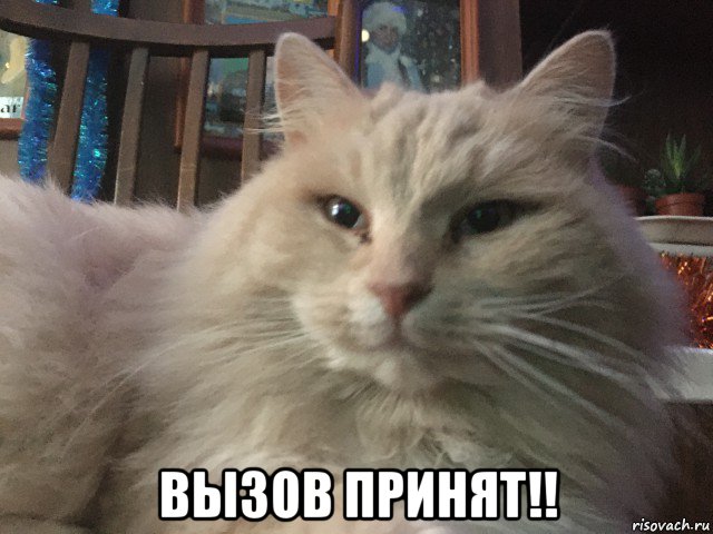  вызов принят!!, Мем Оаогвл