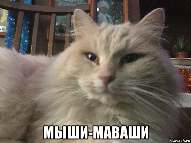  мыши-маваши, Мем Оаогвл