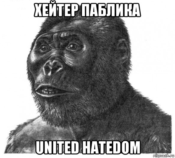 хейтер паблика united hatedom, Мем обезьяна