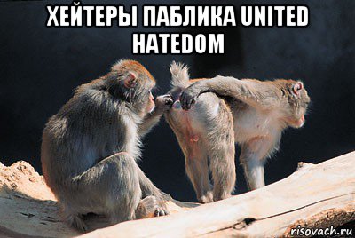 хейтеры паблика united hatedom 