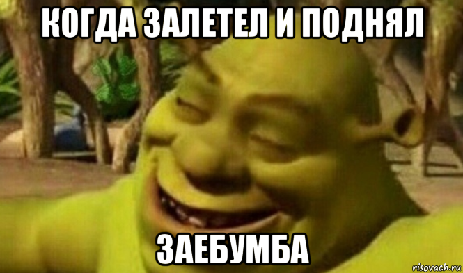 когда залетел и поднял заебумба, Мем Огры