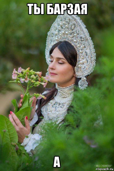 ты барзая а