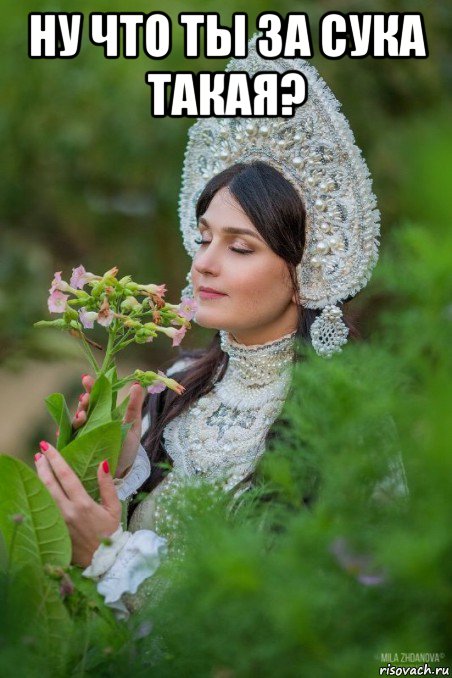 ну что ты за сука такая? 