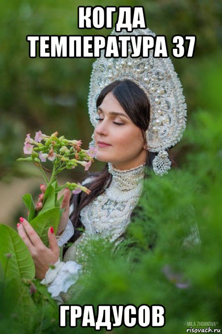 когда температура 37 градусов