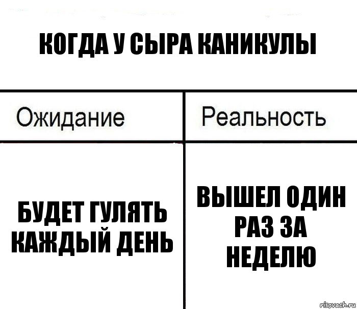 Когда у сыра каникулы Будет гулять каждый день Вышел один раз за неделю