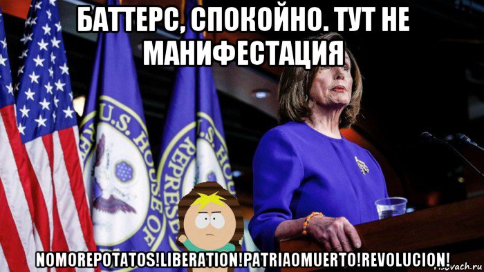баттерс, спокойно. тут не манифестация nomorepotatos!liberation!patriaomuerto!revolucion!, Мем PELOSI