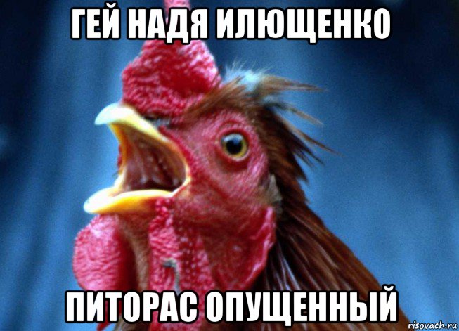 гей надя илющенко питорас опущенный