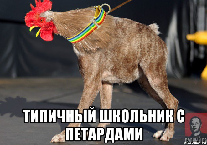  типичный школьник с петардами