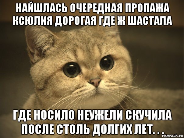 найшлась очередная пропажа ксюлия дорогая где ж шастала где носило неужели скучила после столь долгих лет. . ., Мем Пидрила ебаная котик