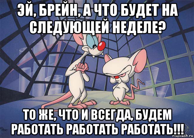 эй, брейн, а что будет на следующей неделе? то же, что и всегда, будем работать работать работать!!!