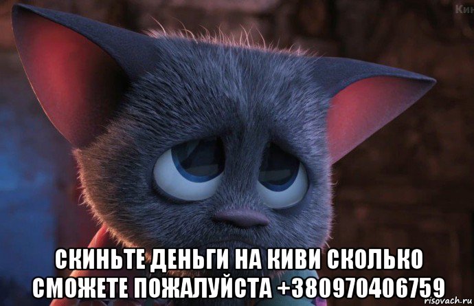  скиньте деньги на киви сколько сможете пожалуйста +380970406759