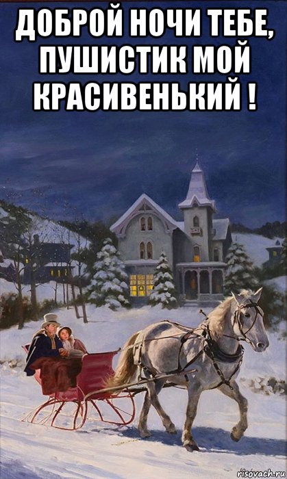 доброй ночи тебе, пушистик мой красивенький ! , Мем Повозка зима