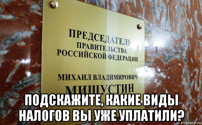  подскажите, какие виды налогов вы уже уплатили?
