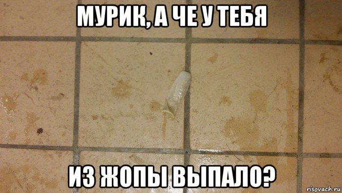 мурик, а че у тебя из жопы выпало?
