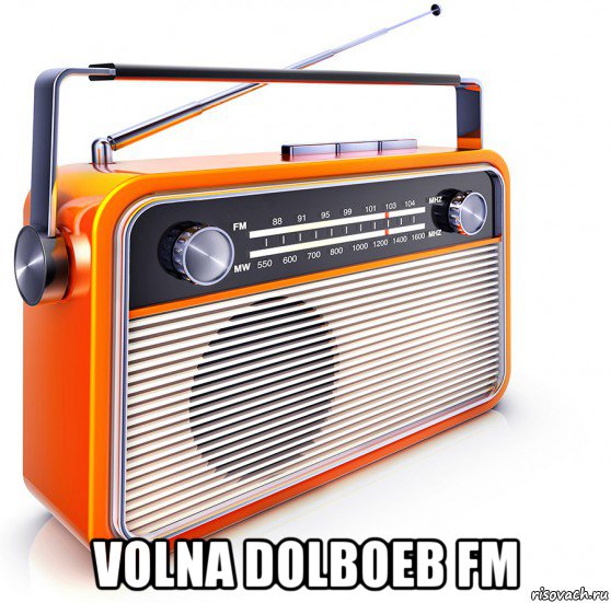  volna dolboeb fm, Мем Radio