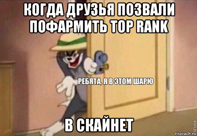 когда друзья позвали пофармить top rank в скайнет