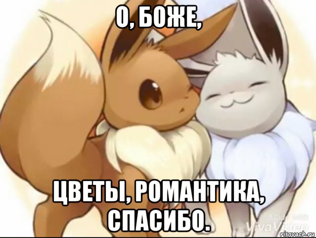 о, боже, цветы, романтика, спасибо., Мем Романтика