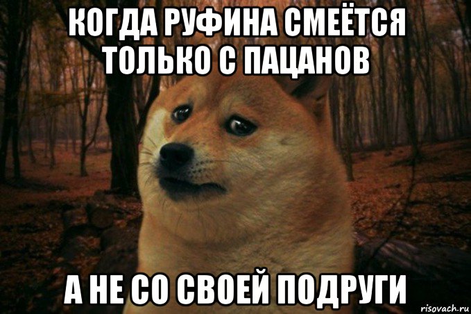 когда руфина смеётся только с пацанов а не со своей подруги, Мем SAD DOGE