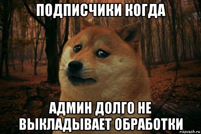 подписчики когда админ долго не выкладывает обработки, Мем SAD DOGE