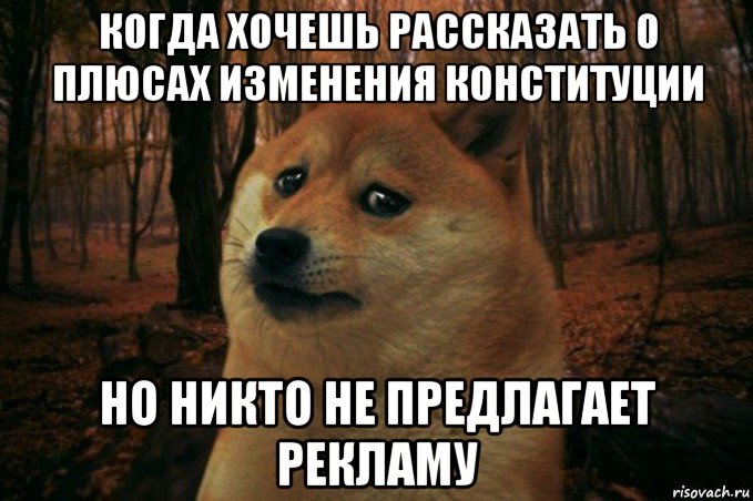 когда хочешь рассказать о плюсах изменения конституции но никто не предлагает рекламу, Мем SAD DOGE