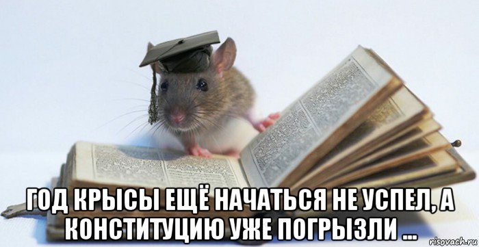  год крысы ещё начаться не успел, а конституцию уже погрызли ..., Мем Сарказм