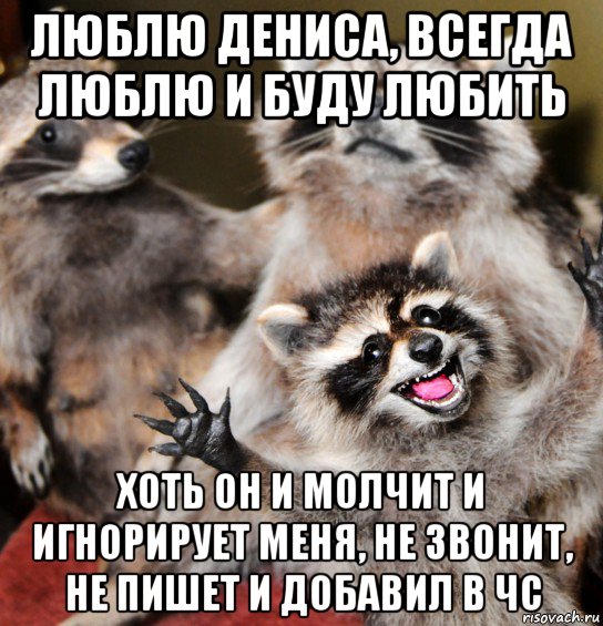 люблю дениса, всегда люблю и буду любить хоть он и молчит и игнорирует меня, не звонит, не пишет и добавил в чс, Мем Семья енотов