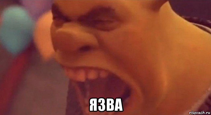  язва, Мем Shrek is love shrek is live