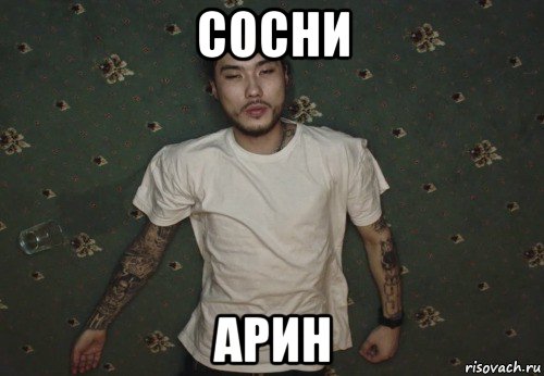 сосни арин