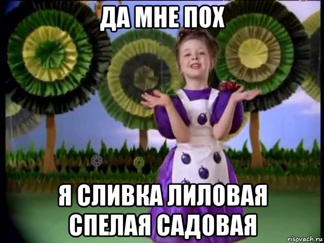 да мне пох я сливка лиловая спелая садовая, Мем Слива