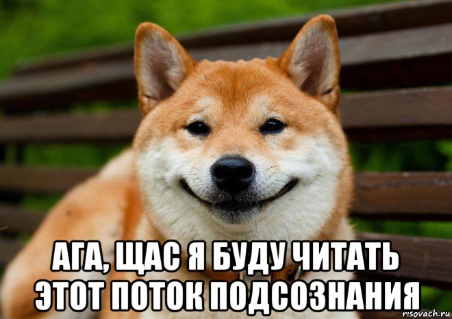  ага, щас я буду читать этот поток подсознания, Мем Собака