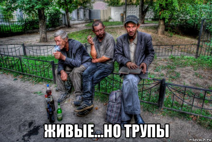  живые...но трупы, Мем Социальная жуть