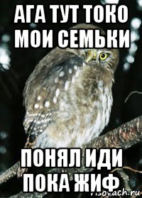 ага тут токо мои семьки понял иди пока жиф