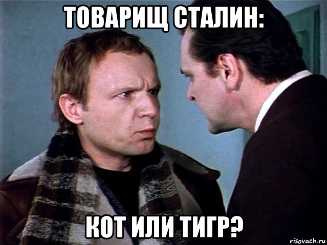 товарищ сталин: кот или тигр?, Мем Ст
